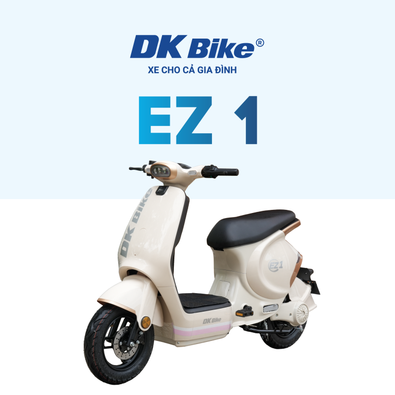 Xe điện DK S2